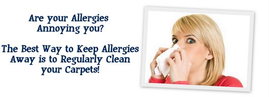 Carpet Cleaning Potomac, MD