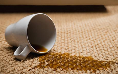 Carpet Cleaning Potomac, MD