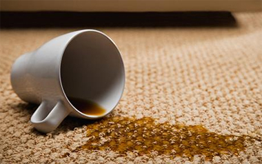 Carpet Cleaning Potomac,  MD