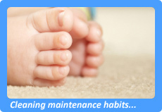 Potomac, MD Carpet Cleaning