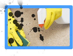 Carpet Cleaning Potomac, MD