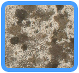 Potomac, MD Water Damage Restoration